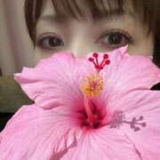 ヒメ日記 2026/10/14 13:15 投稿 しいな 池袋人妻城