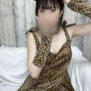 ヒメ日記 2025/06/16 11:17 投稿 らみい Okini所沢