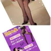 ヒメ日記 2025/11/24 10:13 投稿 日向 おふくろ