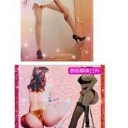 ヒメ日記 2026/01/14 10:43 投稿 日向 おふくろ