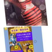 ヒメ日記 2026/01/19 10:37 投稿 日向 おふくろ