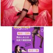 ヒメ日記 2026/03/02 10:21 投稿 日向 おふくろ