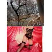 日向 こんにちは😊 おふくろ