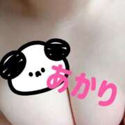 ヒメ日記 2025/06/04 08:43 投稿 あかり Ace(エース)