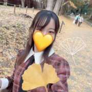 ヒメ日記 2025/05/29 12:02 投稿 大場めぐ 響-HIBIKI-