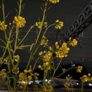 ヒメ日記 2025/06/07 20:02 投稿 大場めぐ 響-HIBIKI-