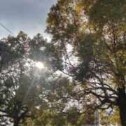 笹川美智恵 夕方皆さん逢えます。ワクワク💓ドキドキ博多の夜 五十路マダム 博多店