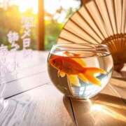 ヒメ日記 2025/07/04 19:15 投稿 みのり奥様 人妻です