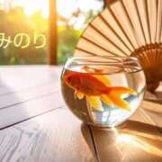 ヒメ日記 2025/08/19 19:03 投稿 みのり奥様 人妻です