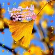 ヒメ日記 2025/09/20 14:30 投稿 みのり奥様 人妻です