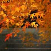 ヒメ日記 2025/10/14 15:29 投稿 みのり奥様 人妻です