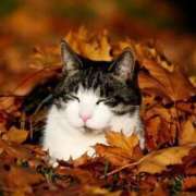 ヒメ日記 2025/10/18 00:42 投稿 みのり奥様 人妻です