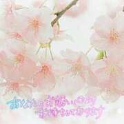 ヒメ日記 2026/03/24 22:42 投稿 みのり奥様 人妻です