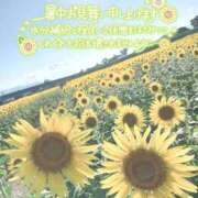 みのり奥様 お久しぶりです✿ິ° ᡣ𐭩 . ° . 人妻です