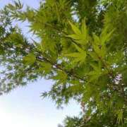 ヒメ日記 2025/05/21 09:43 投稿 小川りこ 月の真珠-五反田-