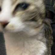 ちむ おしらせ お姉ちゃんゴメンね