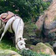 ヒメ日記 2025/07/19 21:02 投稿 しおん 東京エステコレクション 新橋・銀座