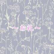 ヒメ日記 2025/05/16 16:34 投稿 ねね ごほうびSPA横浜店