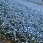 ヒメ日記 2026/05/01 18:34 投稿 ねね ごほうびSPA横浜店