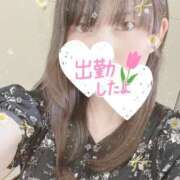 ヒメ日記 2025/05/11 12:33 投稿 ことね 池袋人妻城