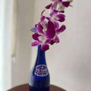 ヒメ日記 2025/06/05 13:33 投稿 ことね 池袋人妻城