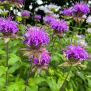 ヒメ日記 2025/06/07 14:27 投稿 ことね 池袋人妻城