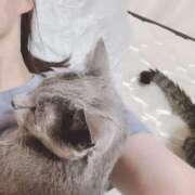 ヒメ日記 2025/07/04 21:51 投稿 ことね 池袋人妻城