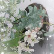 ヒメ日記 2026/01/07 20:18 投稿 めぐみ 尼妻（あまづま）