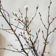 ヒメ日記 2026/01/08 13:42 投稿 めぐみ 尼妻（あまづま）