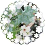 ヒメ日記 2026/02/19 15:02 投稿 めぐみ 尼妻（あまづま）