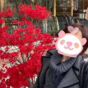 ヒメ日記 2025/11/10 11:40 投稿 あゆむ 性腺熟女100％（デリヘル市場）