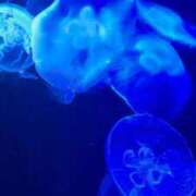 ヒメ日記 2025/10/02 23:10 投稿 あい FAIRY Fukuoka Nakasu