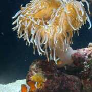 ヒメ日記 2025/11/05 15:20 投稿 あい FAIRY Fukuoka Nakasu