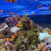 ヒメ日記 2026/02/06 22:10 投稿 あい FAIRY Fukuoka Nakasu