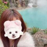 ヒメ日記 2026/03/13 08:40 投稿 あい FAIRY Fukuoka Nakasu