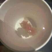 ヒメ日記 2026/02/27 06:30 投稿 るく 黒い金魚（札幌）