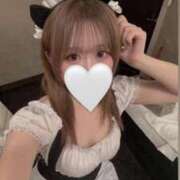 ヒメ日記 2026/02/28 05:00 投稿 るく 黒い金魚（札幌）