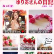 ヒメ日記 2025/11/23 11:45 投稿 凛花(りんか) 渋谷蘭の会