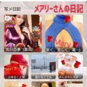 ヒメ日記 2025/12/10 12:44 投稿 凛花(りんか) 渋谷蘭の会