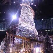 ヒメ日記 2025/12/24 17:45 投稿 凛花(りんか) 渋谷蘭の会