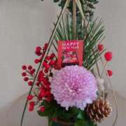 ヒメ日記 2026/01/03 17:05 投稿 凛花(りんか) 渋谷蘭の会