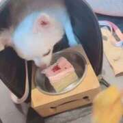 ヒメ日記 2025/10/22 23:52 投稿 ★姫里みり★ CLUB39（クラブサンキュー）