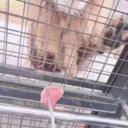 ヒメ日記 2026/01/20 21:12 投稿 ★姫里みり★ CLUB39（クラブサンキュー）