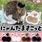 ヒメ日記 2025/05/30 12:18 投稿 りんご ドMバスターズ 京都店