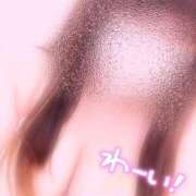 ヒメ日記 2025/05/17 15:31 投稿 いおり 所沢東村山ちゃんこ