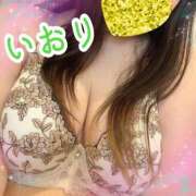 ヒメ日記 2025/06/07 14:01 投稿 いおり 所沢東村山ちゃんこ