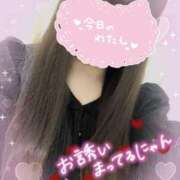 ヒメ日記 2025/08/27 19:09 投稿 いおり 西東京市小平ちゃんこ