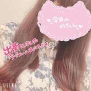 ヒメ日記 2025/09/08 20:48 投稿 いおり 西東京市小平ちゃんこ