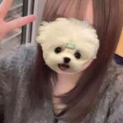 ヒメ日記 2025/10/24 11:46 投稿 あまい 新潟デリヘル倶楽部