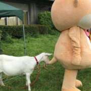 ヒメ日記 2025/12/07 09:08 投稿 かこ パリス雄琴店